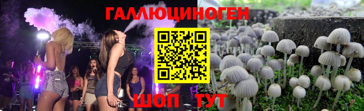 Галлюциногенные грибы Psilocybe Орехово-Зуево